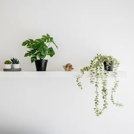 A Casa Do Manuel Apartamento Ponta Delgada