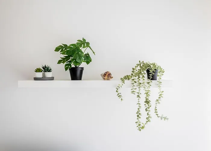 A Casa Do Manuel Διαμέρισμα Πόντα Ντελγκάντα